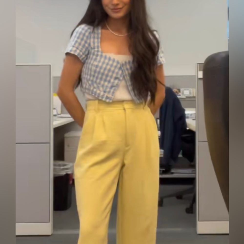 Zara crop top
